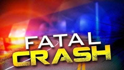 An Alexandria man died Sunday night after being hit by a car while trying to cross a road, according to police.