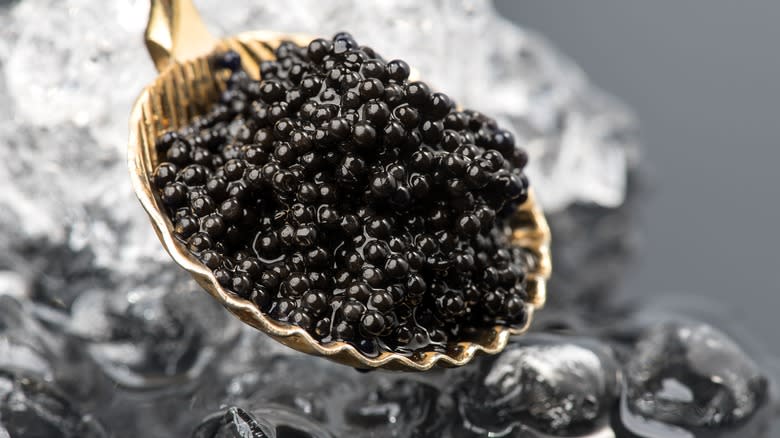 Caviar on golden spoon