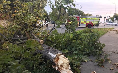 A fallen tree in Dublin as strong winds batter the Republic of Ireland, Northern Ireland, Scotland and parts of England - Credit: Dublin Fire Brigade/Twitter/PA 