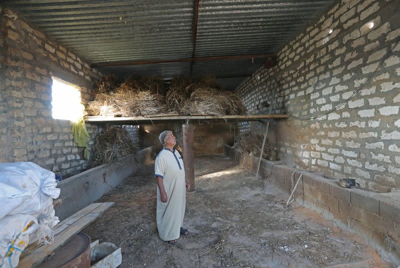 Yunis Bouzid, the owner of the farm, inspects his livestock barn, after it was destroyed from the clashes, in Ain Zara, Tripoli