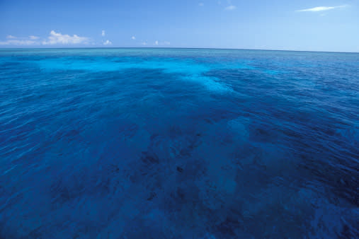 Tubbataha Reef, Sulu Sea, Philippines