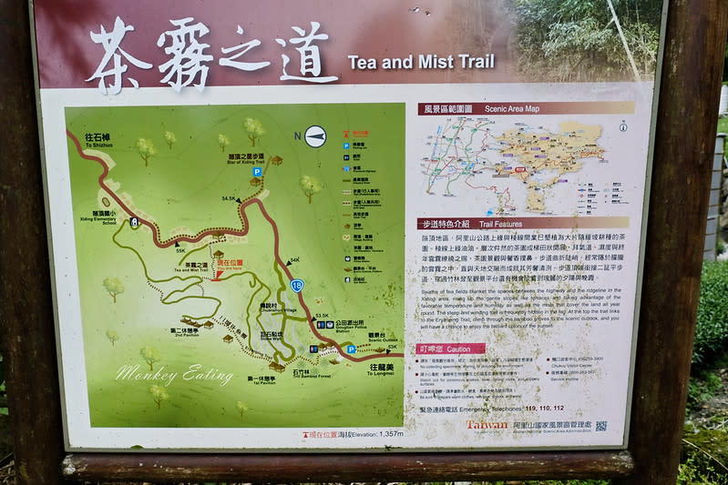 嘉義阿里山｜二延平步道