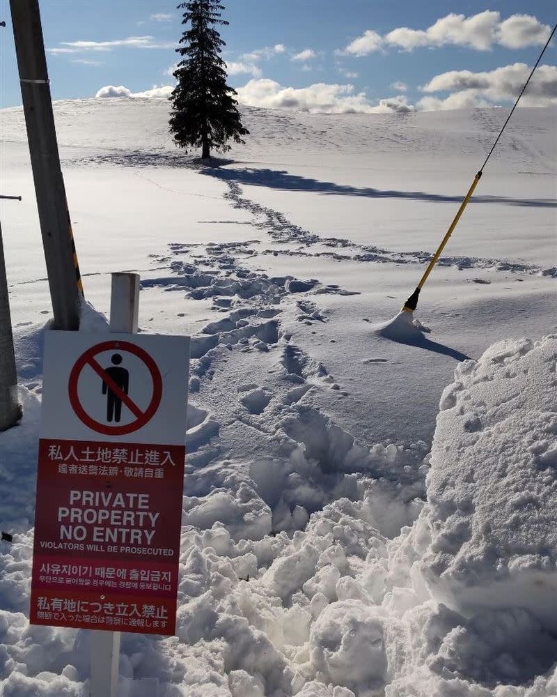 北海道富良野雪原下的農地，請勿進入拍照。（圖／翻攝自富良野美瑛広域観光推進協議会臉書）