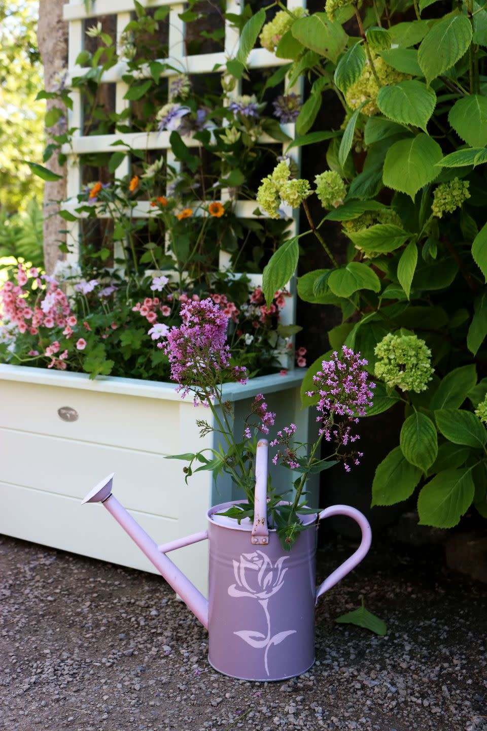 garden with trellis planter and colourful plants