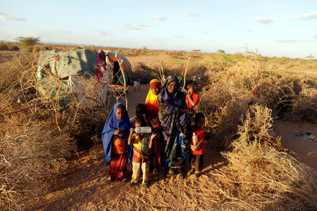 A displaced woman, Nima Mohamed, 35, poses with 6 of her 7 children beside their shelter at a makeshift settlement area near Burao, northwestern Togdheer region of Somaliland March 25, 2017. Picture taken March 25, 2017. REUTERS/Zohra Bensemra