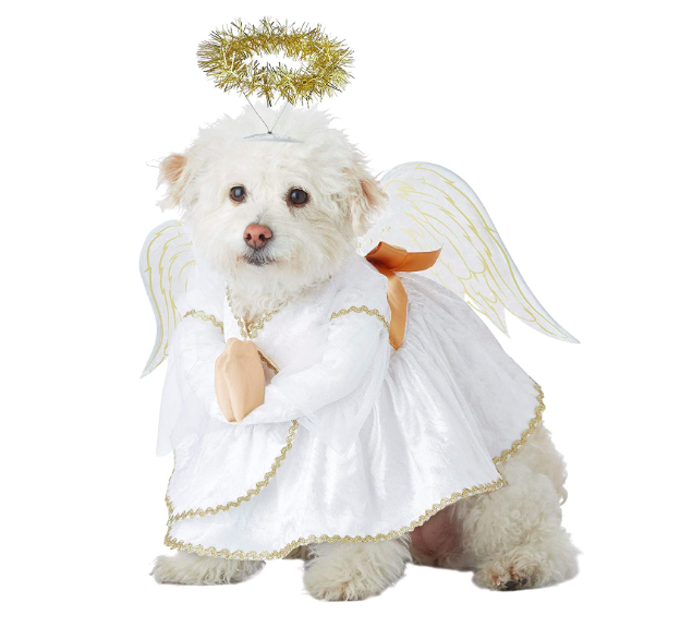 Angel Dog Costume