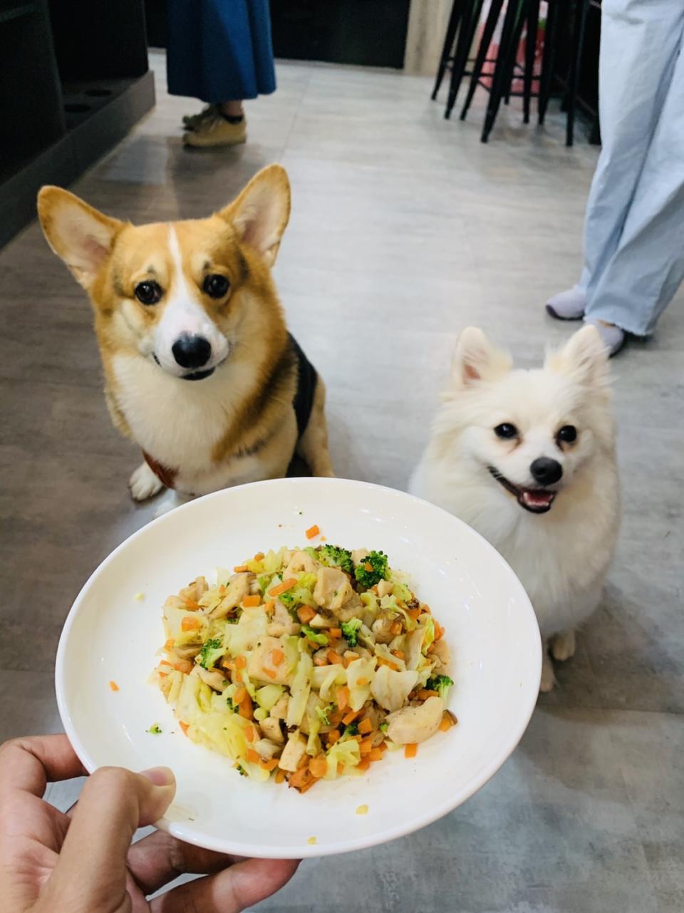 餵食鮮食可獲得較多水分及營養補充，熱量也較低。p'adore寵愛提供