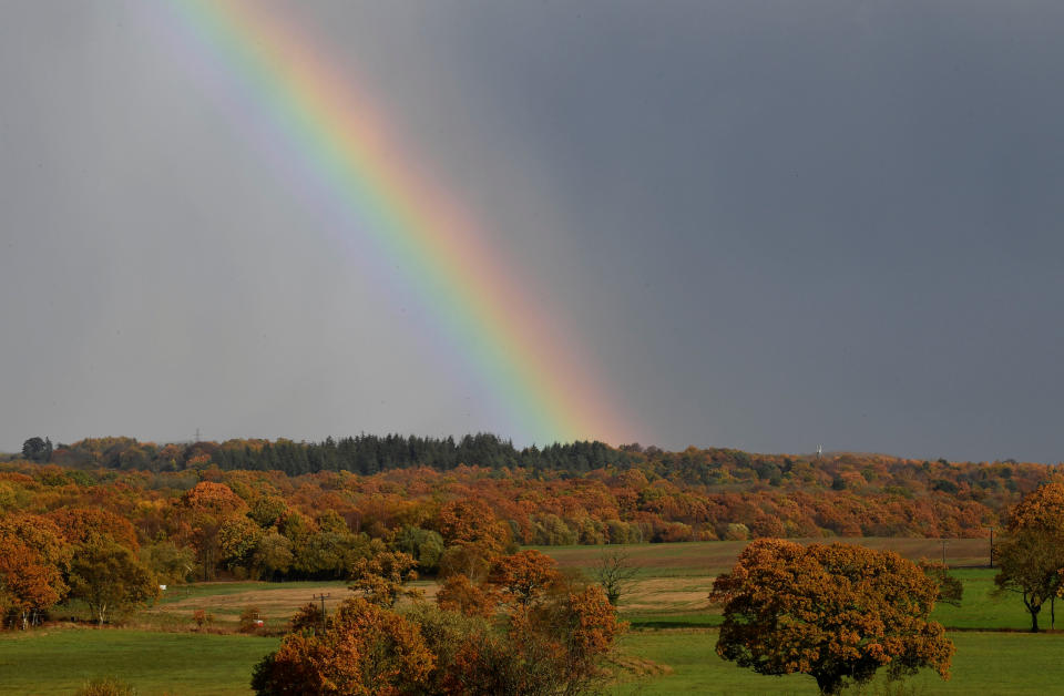 Autumn foliage is seen with a rainbow behind at North Baddesley, southern Britain November 11, 2018. REUTERS/Toby Melville