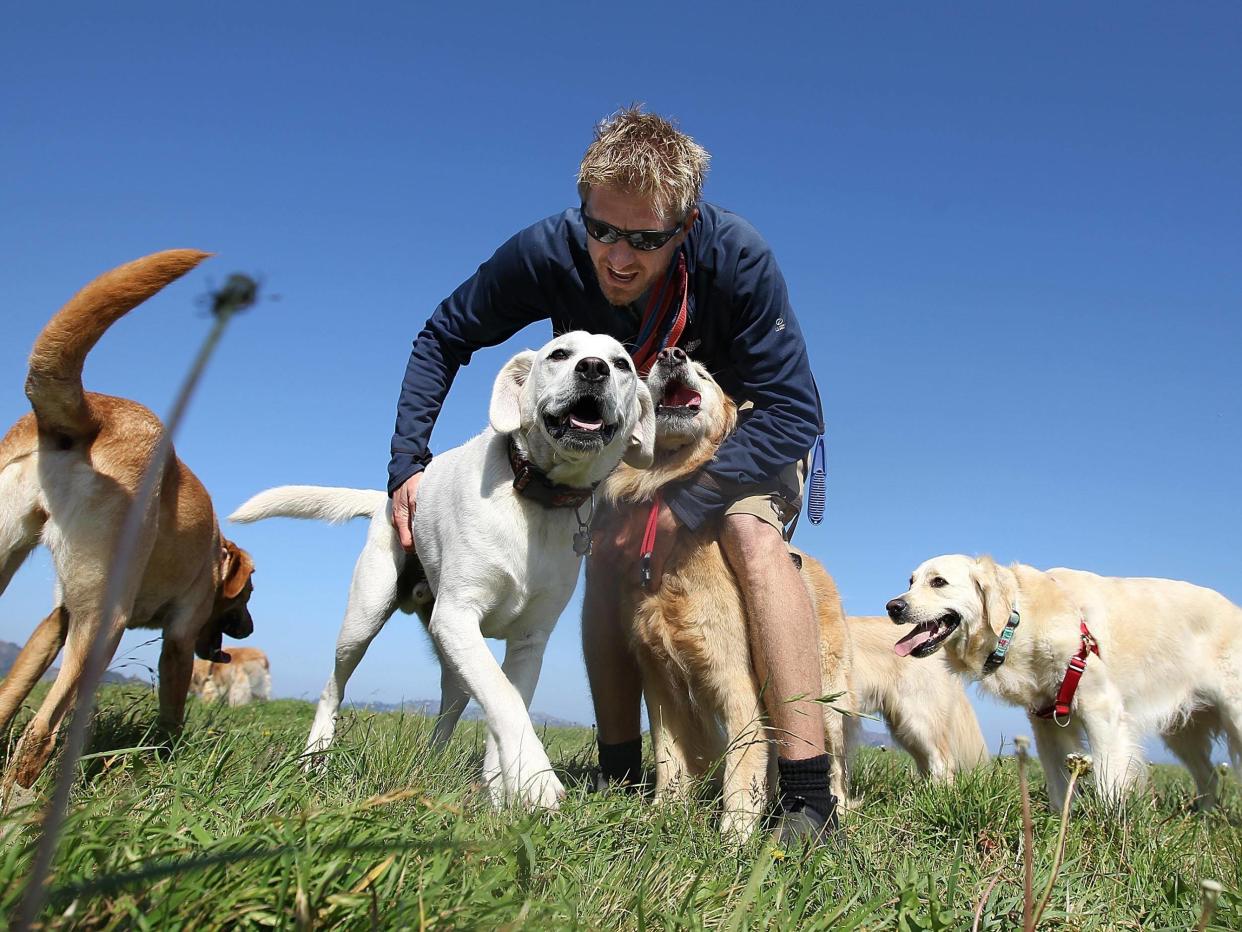 Man’s best friend: owning a dog has been linked with health benefits: Getty