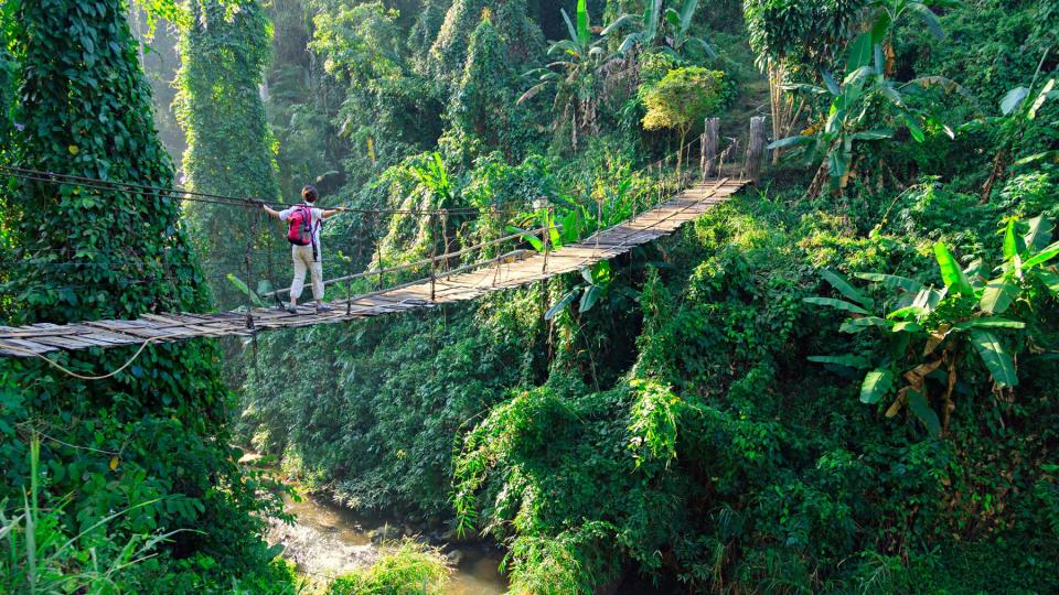 Woman with backpack on suspension bridge in rainforest in Thailand