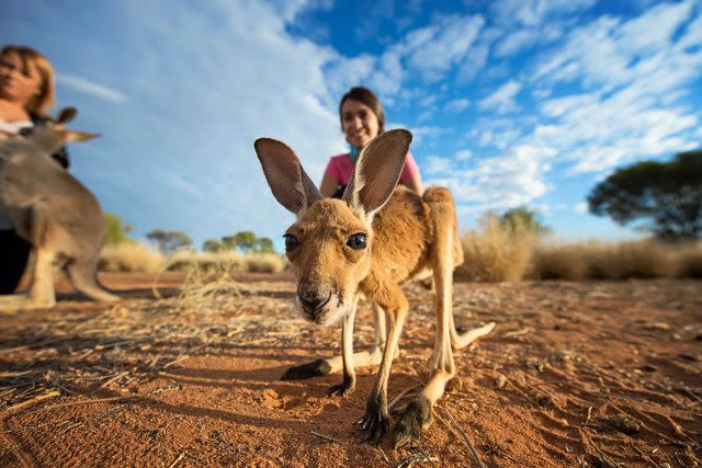 <p>Shaana McNaught/Courtesy of Tourism NT</p>