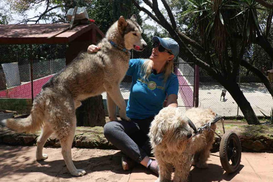 Paty Ruiz y Pistache en el santuario 'Milagros Caninos'. (Foto: Sharenii Guzmán | @shareniiguzman | Animal Político-Animal MX)