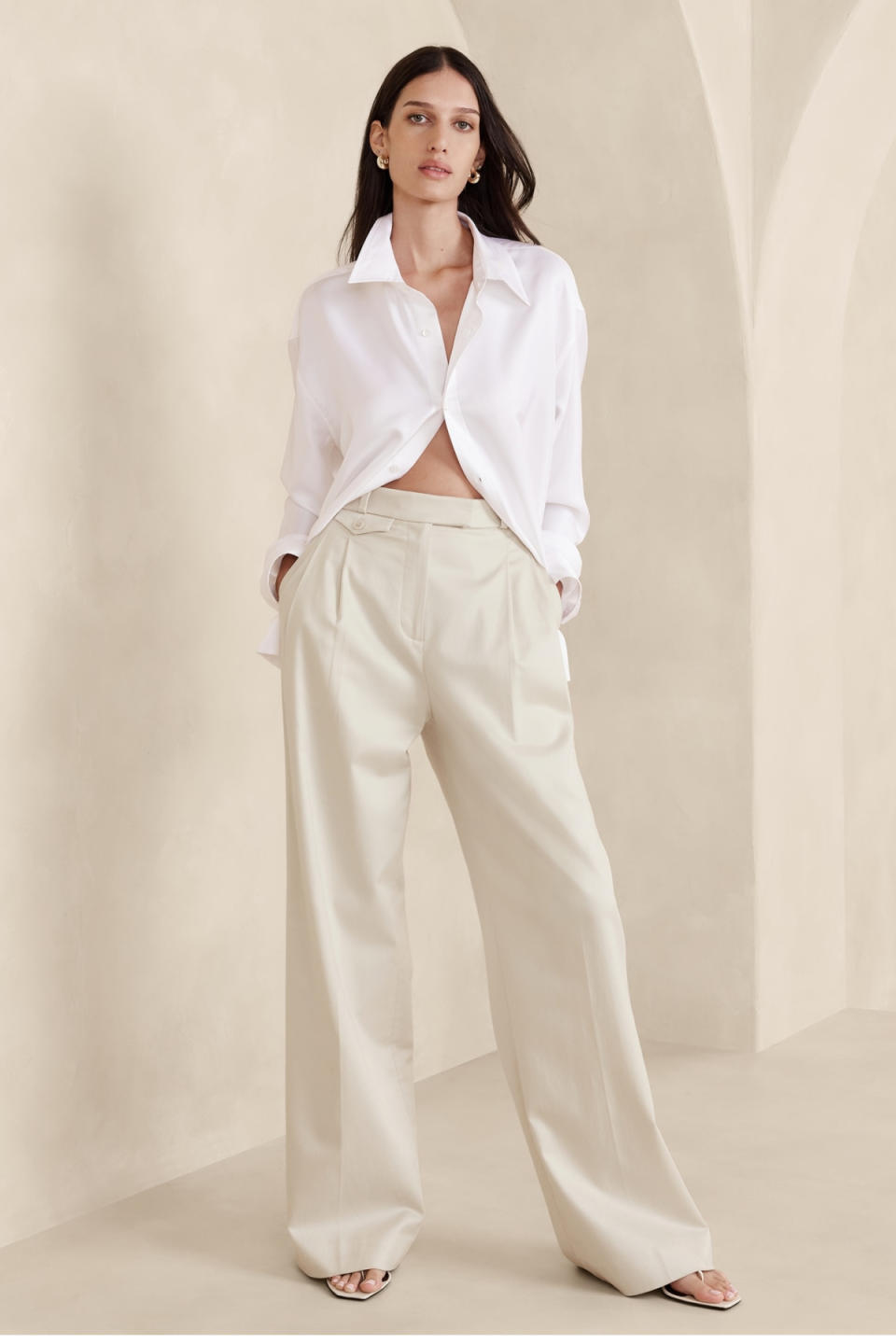 Banana Republic Carmel Pleated Wide-Leg Pants