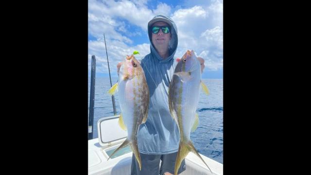 With popular fish out of season, Tampa Bay angler gets creative to bring  home dinner