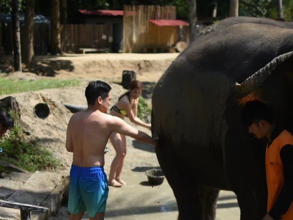 蔡沐妍女兒去泰國問她為什麼不能騎大象，沒想到在她解釋後，女兒又反問一句話讓她答不出來。（圖／翻攝自蔡沐妍臉書）