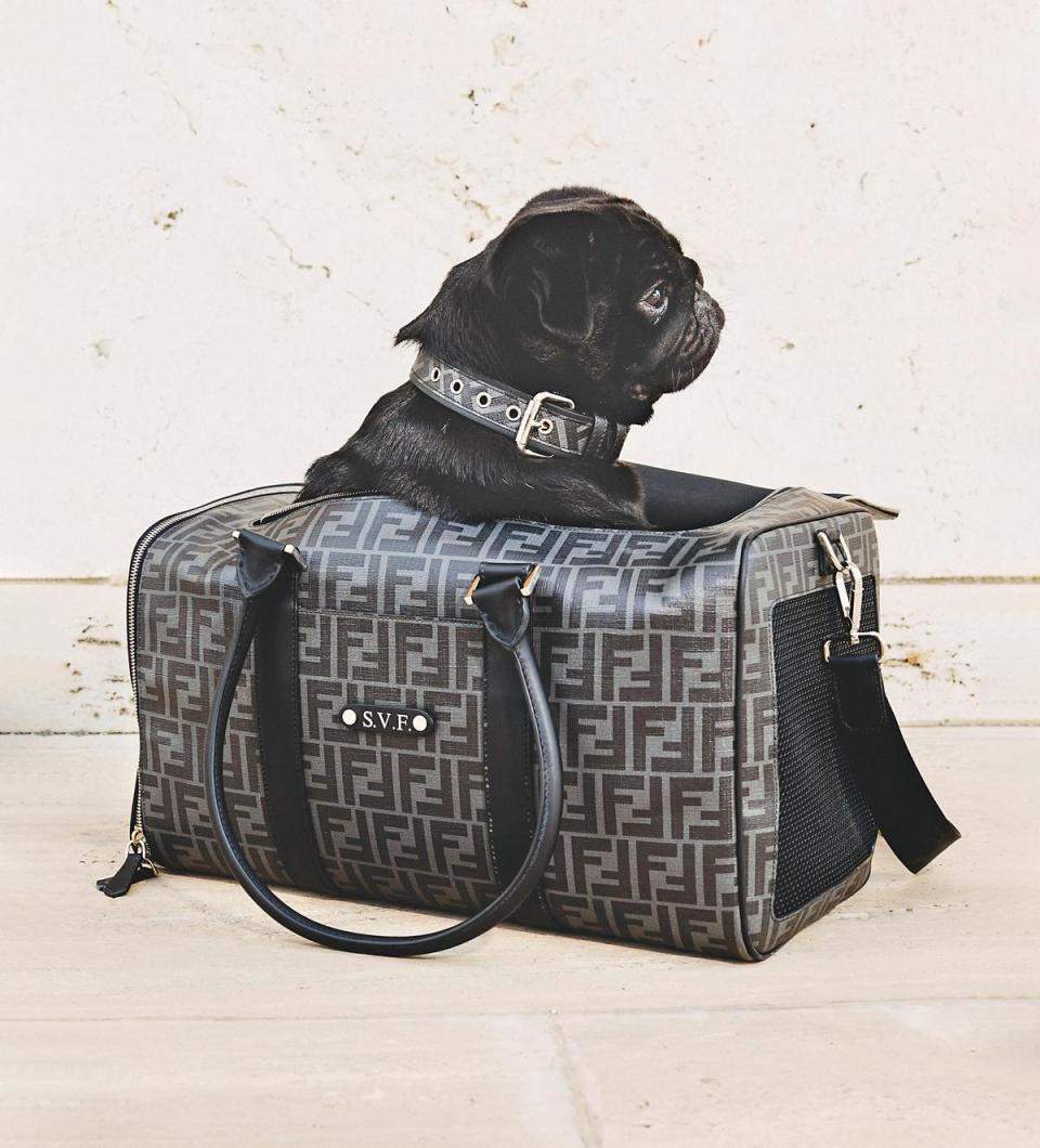提著有訂製姓名的FENDI包，噢！裡面原來是妳的小寵物。寵物系列FF Logo旅行袋 NT$81,000。（FENDI提供）