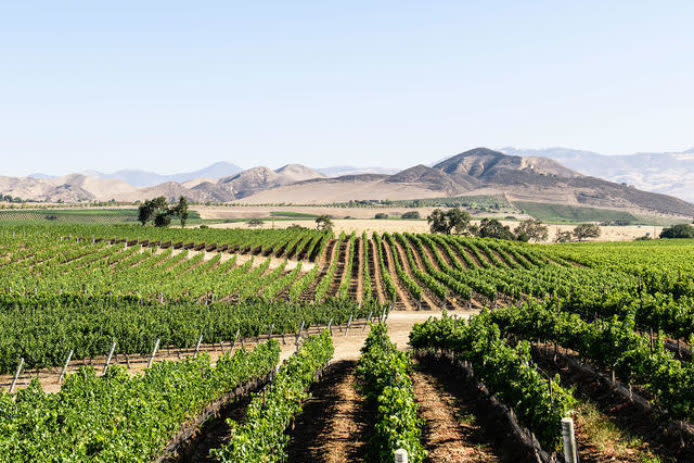 Drive an electric vehicle to the vineyards of Santa Barbara County and Willamette Valley