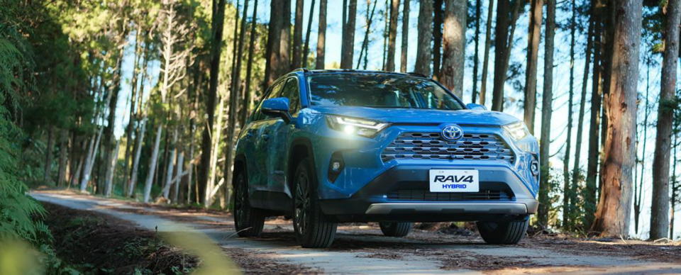 圖／本月一般進口車榜單，王者休旅Toyota RAV4以1,230輛的成績穩居冠軍。