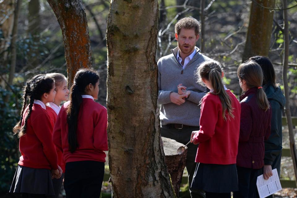 Prince Harry and children