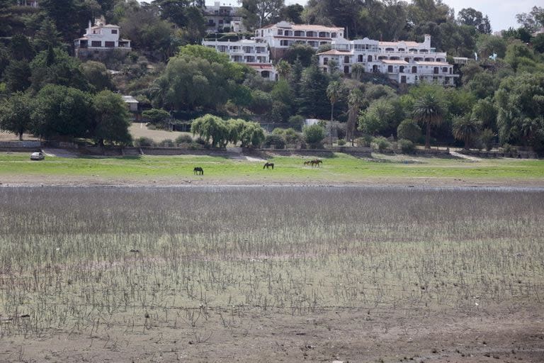 La provincia de Córdoba arrastra tres años de sequías
