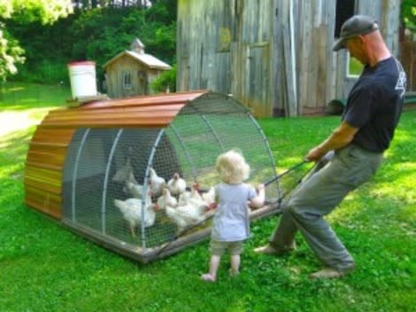 June, 2, helps with chores like pulling a chicken tractor