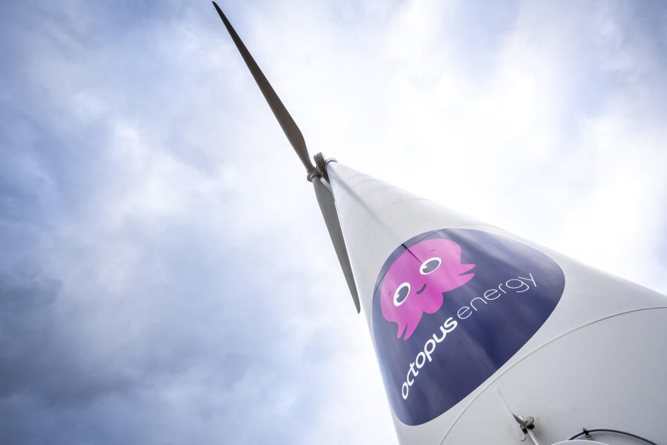 Octopus Energy bietet für seine Kunden spezielle Windpark-Angebote an.  - Copyright: Octopus Energy