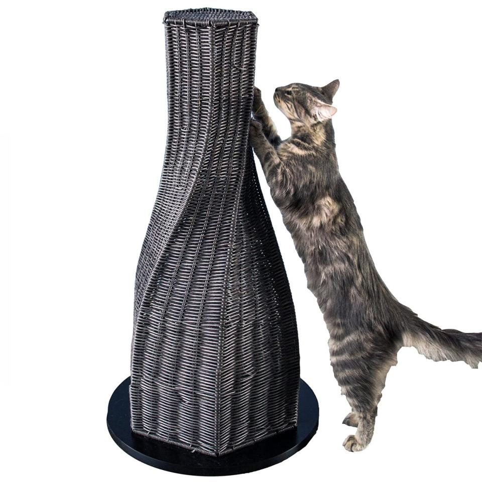 Refined Feline Calypso Cat Scratcher