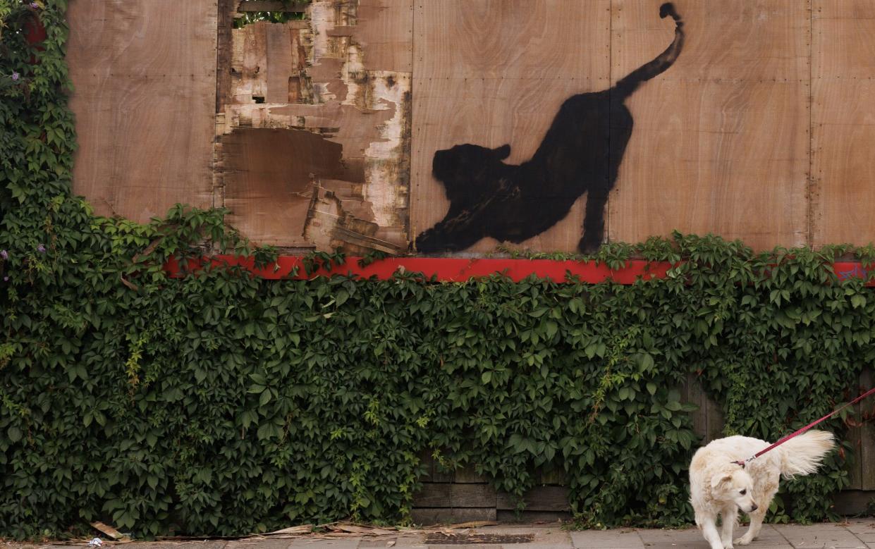 The artist's sixth piece was a stretching cat on an empty advertising billboard