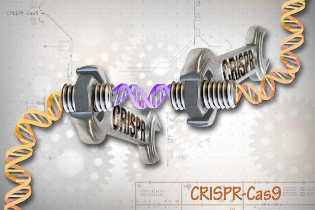 Crispr-Cas9系統（Wikimedia Commons）