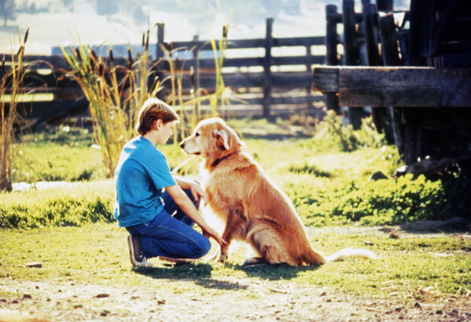 Ein tierisches Trio