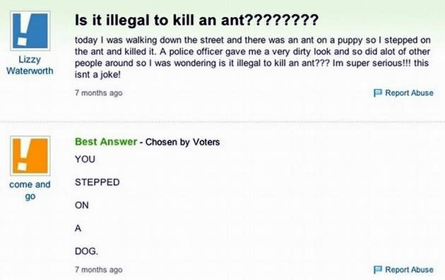 “Is it illegal to kill an ant?” The last we checked, nope.