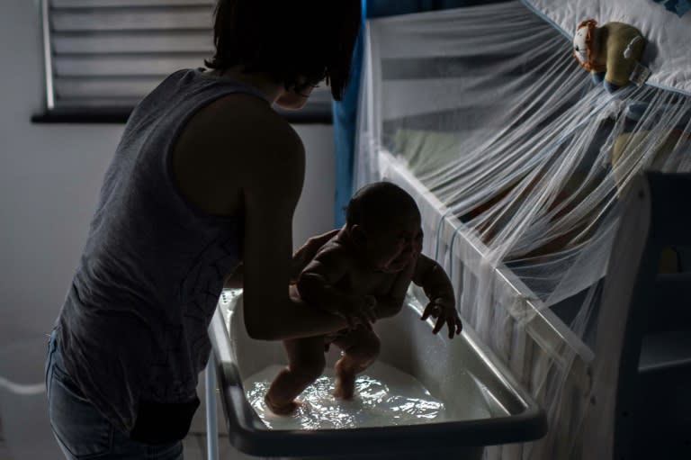 Zika poses a particular danger to pregnant women, who if infected face a higher risk of bearing an infant with microcephaly, a birth defect that causes an abnormally small head