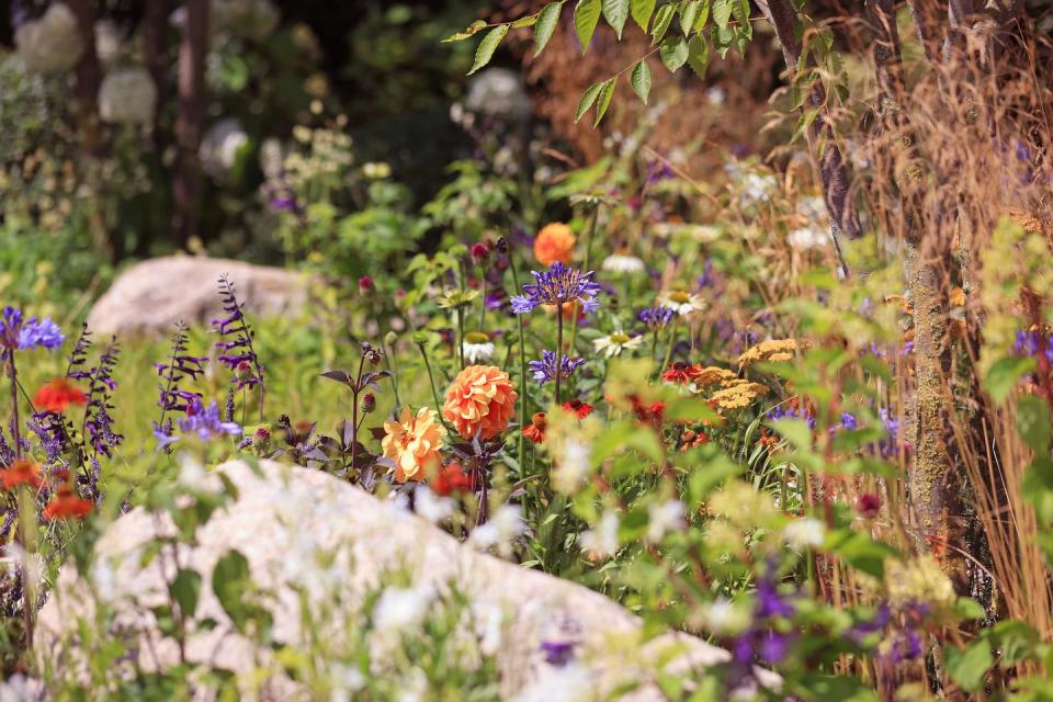 the rhs hampton court palace garden festival 3 july 2022 the sunslifestyle outdoor living garden