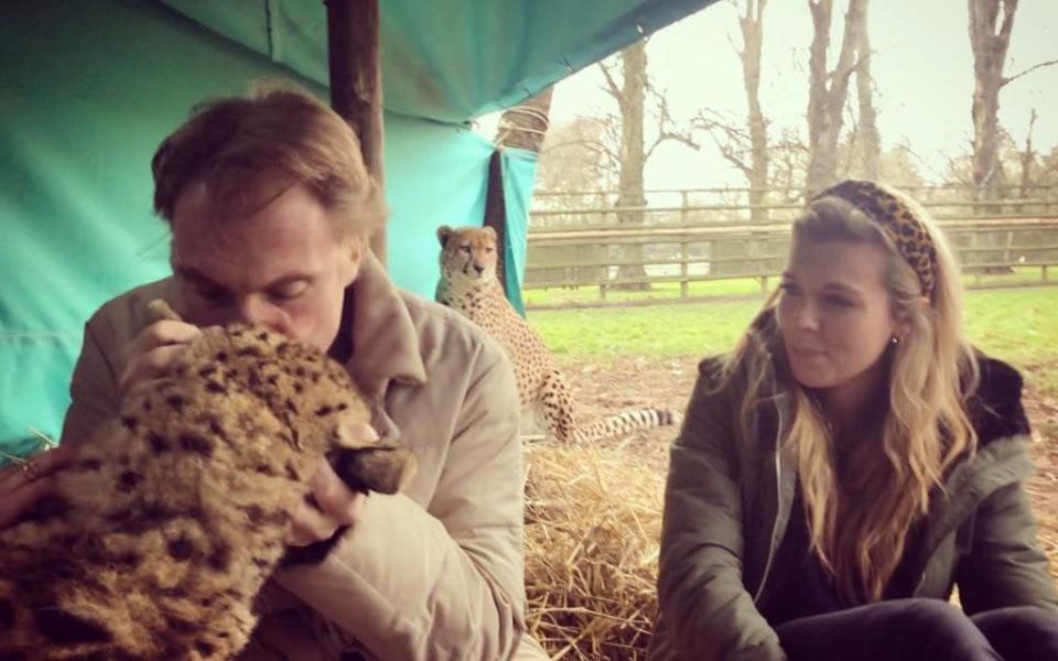 Damian Aspinall and Carrie Johnson with cheetah brothers Saba and Nairo at Howletts last year before their rewilding to South Africa - Carrie Symonds 