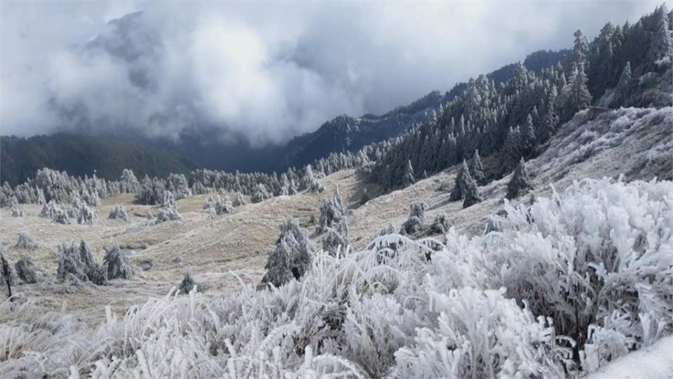 追雪族湧上山！ 合歡山台14甲線大塞車 正妹穿比基尼拍照 稱留給子孫看