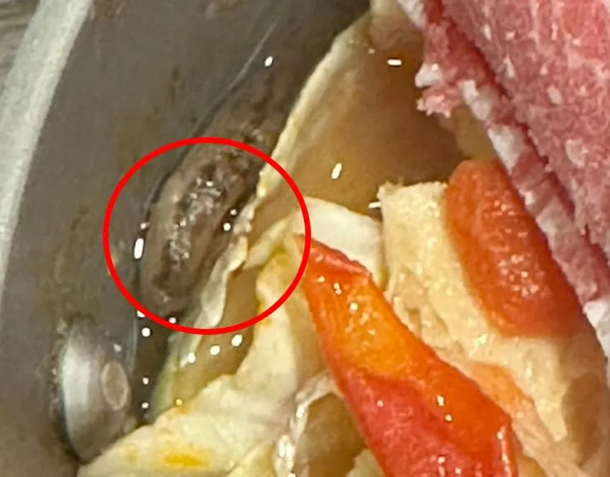 新莊小鍋店鍋「鍋媽」也被民眾發現，火鍋內有蛞蝓