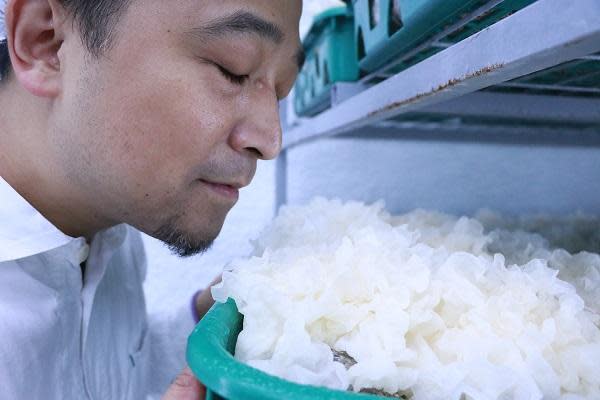 林益慶說：新鮮國產白木耳是煮出濃稠膠質的首要原因。
