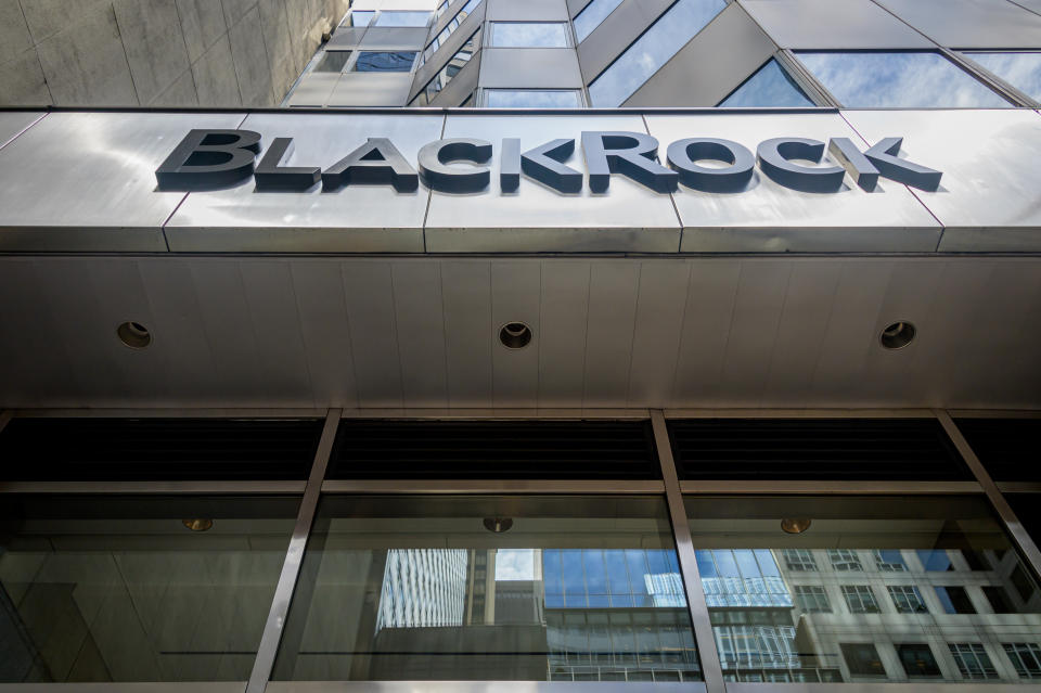 BlackRock joins other strategic investors in the company including Hyundai, Kia and UPS. Photo by Erik McGregor/LightRocket via Getty Images