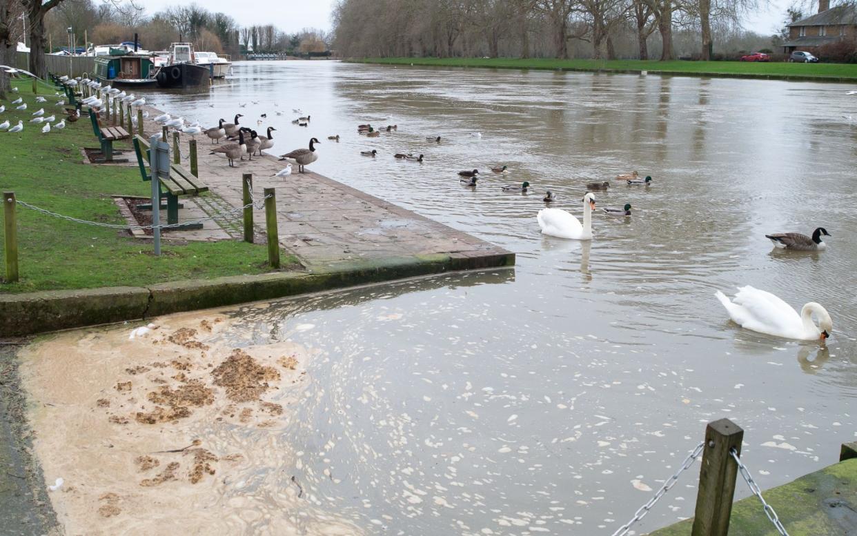 Sewage dumped in rivers by Thames Water increases fivefold