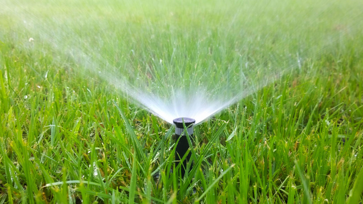  watering the lawn with a sprinkler 