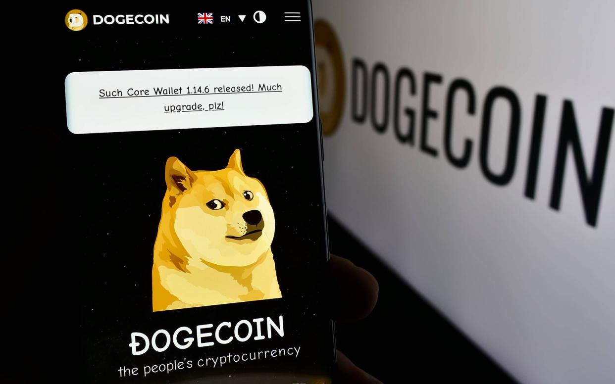 Sie war ein Internet-Meme und das Gesicht der Kryptowährung Dogecoin. Nun ist die Hünding Kabosu gestorben. (Bild: IMAGO / Zoonar)