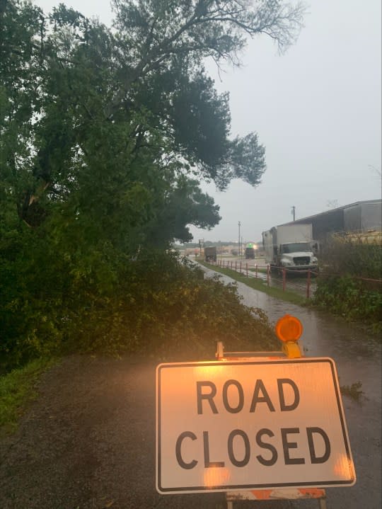 A downed tree in Lufkin. Photo courtesy of the City of Lufkin.