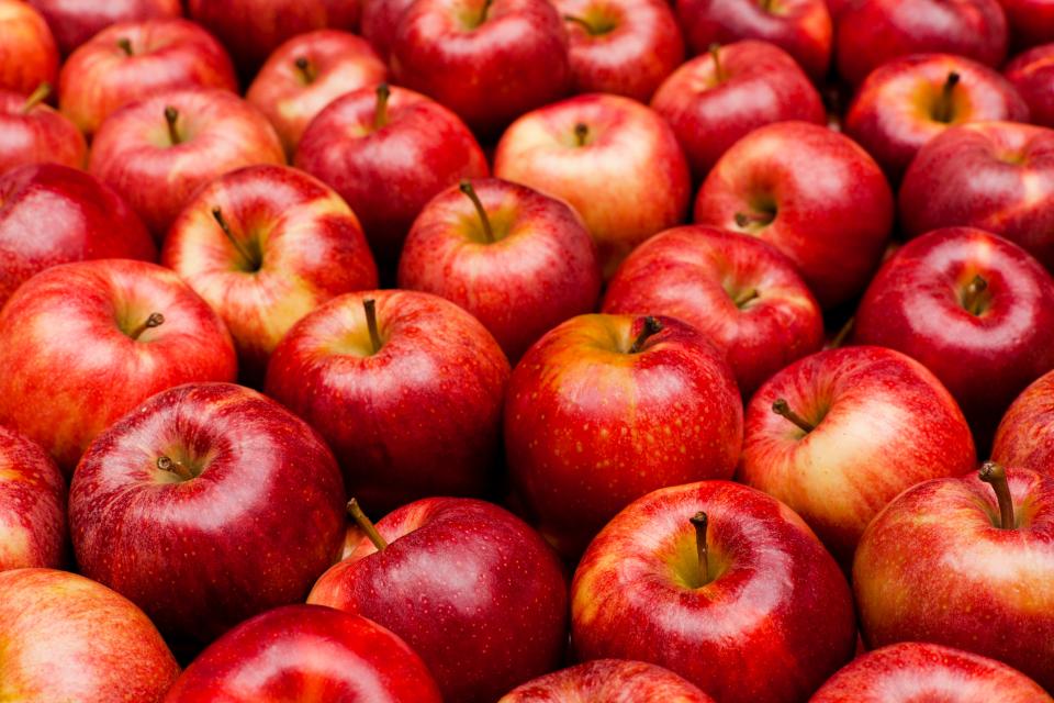 <h1 class="title">Close-up of red royal gala apples</h1><cite class="credit">aluxum</cite>