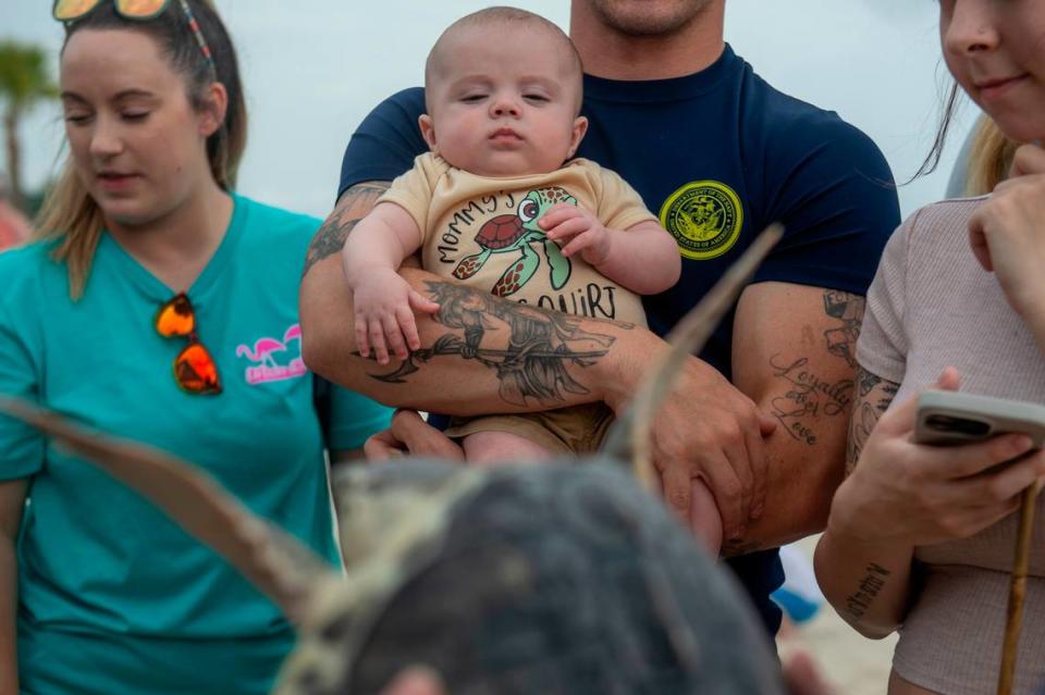 Bransyn Spychala, 4 months old, wears a sea turtle onesie as he looks at a Kemp’s Ridley sea turtle before its release back into the Mississippi Sound on Thursday, April 18, 2024.