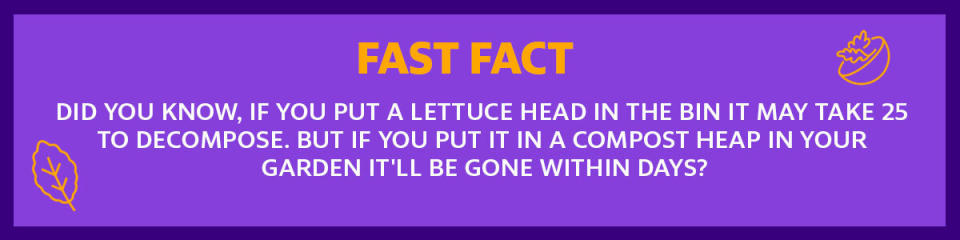 Image shows a Fast Fact about lettuce heads and composting.