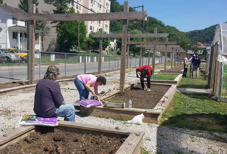 Jack Perry (L) watches as his wife, Margie (3rd L) plants vegetables in the community garden that residents call the "Garden of Eatin'" in Williamson, West Virginia, May 13, 2015. REUTERS/Valerie Volcovici