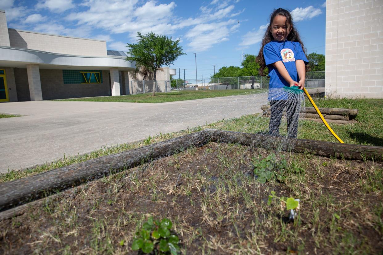 Kindergarten student Olivia Villarreal waters a fruit garden behind Garcia Elementary School during an aftercare program on Thursday, March 28, 2024, in Corpus Christi, Texas.