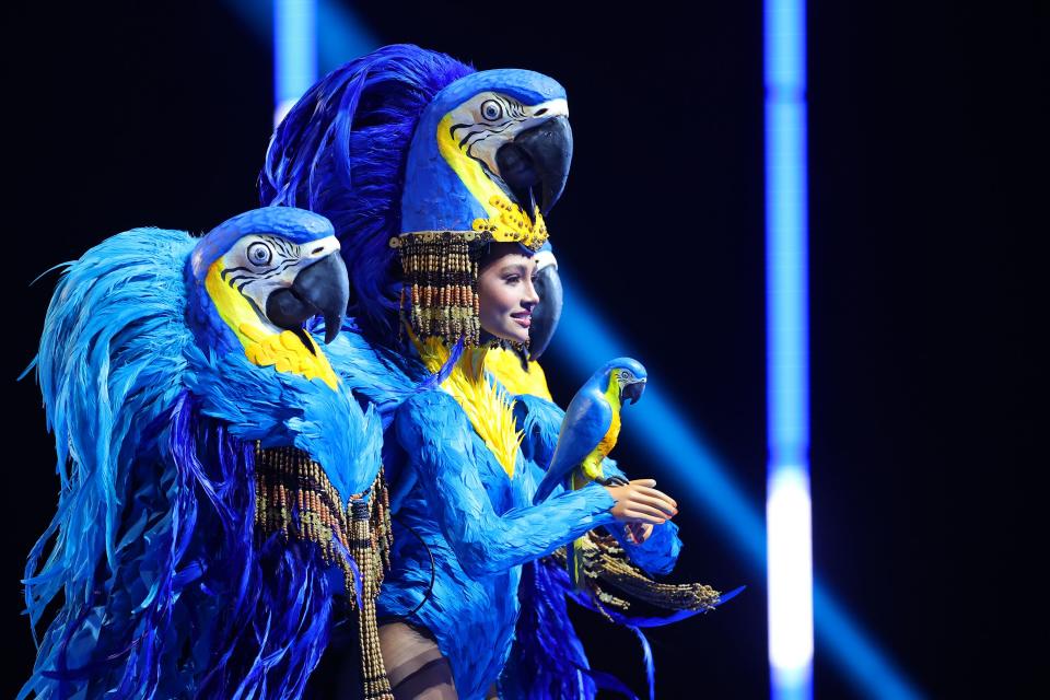 Un trío de loros guacamayos azules se posó sobre los hombros, literalmente, de Miss Brasil, cuyo traje típico buscó resaltar que la especie está amenazada. (Héctor Vivas/Getty Images)