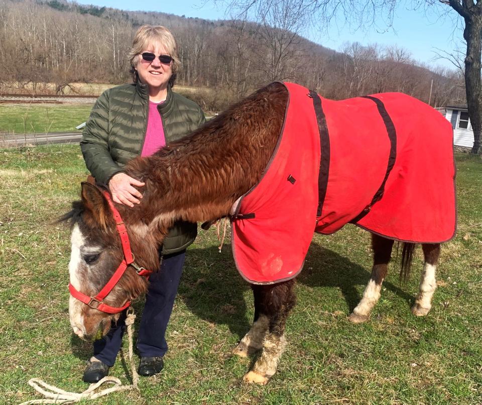 Susan Vanderpool, of Barton, with "Sassy," a 41-year-old registered quarter horse that lives on her property just off state Route 34 north of Waverly.