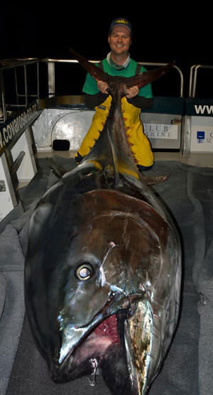 <p>Monster bluefin tuna could be radioactive</p>